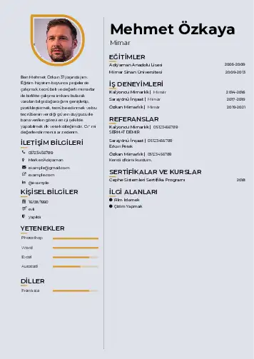 cv indir